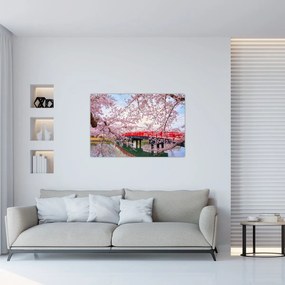 Tablou - Hirosaki, Japonia (90x60 cm)