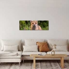 Tablou cu vulpe (cu ceas) (90x30 cm)