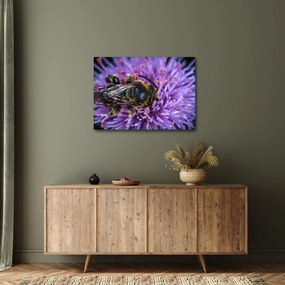 Tablou cu albina pe floare (70x50 cm)