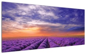 Tablou câmpului cu lavandă (120x50 cm)