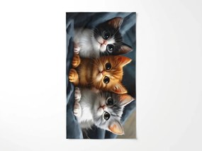 Prosop de plaja cu uscare rapida CATTINO colorat 70 x 140 cm, 100% microfibra