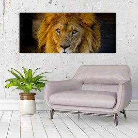 Tablou - Portret de leu (120x50 cm)