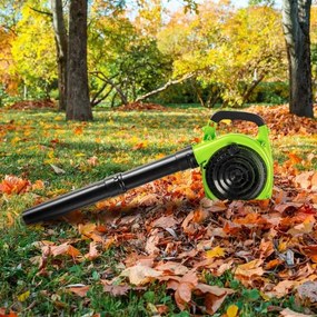 Aspirator de grădină pe benzină Fieldmann 800W