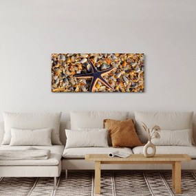 Tablou cu stea de mare (120x50 cm)