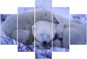 Tablou - Urși polari (150x105 cm)