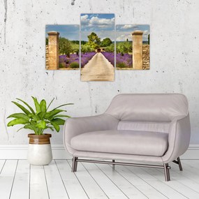 Tablou - Căi de lavandă (90x60 cm)