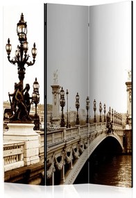 Paravan - Alexander III Bridge, Paris [Room Dividers]