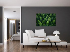 Tablou - Pădure (90x60 cm)