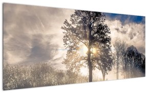 Tablou cu copac în ceață (120x50 cm), în 40 de alte dimensiuni noi