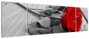 Tablou - trandafir cu flori ro?ii (170x50cm)