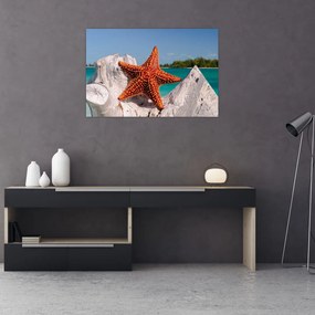 Tablou cu stea de mare (90x60 cm)