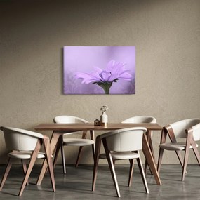 Tablou - Flori mov (90x60 cm)