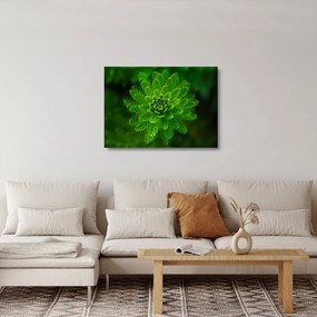 Tablou pe sticlă cu coniferi (70x50 cm)