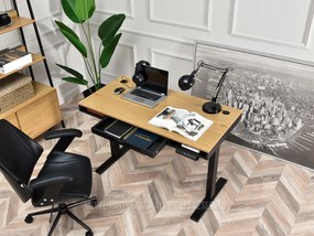 Masă PC Osto 120 (stejar negru + alb). 1109816