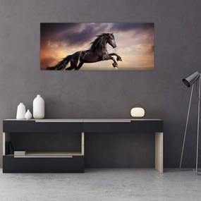 Tablou - Cai (120x50 cm)