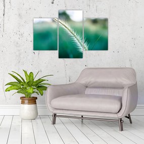 Tablou cu fir de iarbă (90x60 cm)