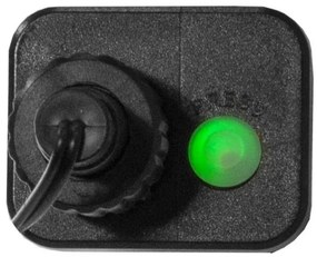 Eglo - Ghirlandă luminoasă LED de exterior pentru Crăciun BERRY MINI, 700 LED/8 funcții, 19 m, multicoloră, IP44