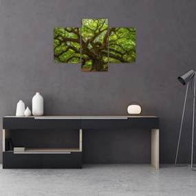 Tablou - Copac verde (90x60 cm)