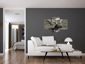 Tablou - Cerb (90x60 cm)