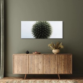 Tablou - Sfere de flori (120x50 cm)