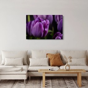 Tablou cu flori de lalele (90x60 cm)