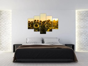 Tablou cu lan de floarea soarelui (150x105 cm)