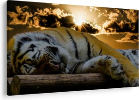 Tablou tigrul dormind (90x60 cm)