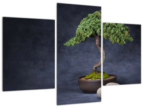 Tablou - Bonsai (90x60 cm)