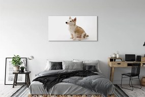 Tablouri canvas Stând câine mic