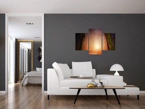 Tablou cu pădurea toamna în ceață (90x60 cm)