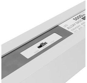 Plafonieră LED ALLDAY BASIC, 40W, 230V, 2700/4000/6000K, alb