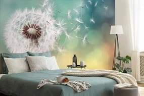 Fototapet păpădie magică