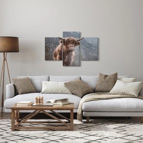 Tablou - Vaca Highlander (90x60 cm)