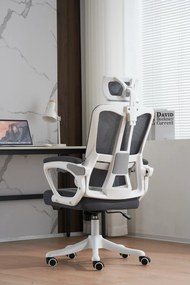 Scaun ergonomic cu suport lombar, tetieră reglabilă, suport pentru picioare, pivotant, Mesh, Alb/Gri