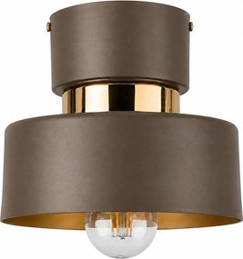 Lampă de tavan IGNIA 1xE27/60W/230V maro/auriu