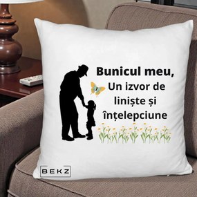 Cadou pentru Bunic - Perna Personalizata Bunicul Meu Izvor de Liniste cu Fluture si Fetita, 40x40 cm, Alb Pufos, Husa Detasabila, Perna Inclusa, BEKZ®