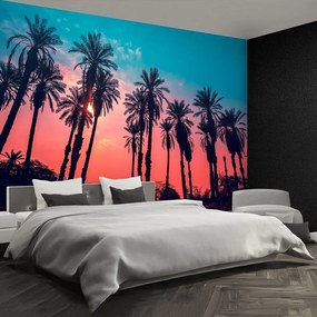 Fototapet Tropical Palm Copaci