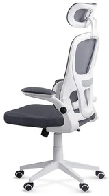 Scaun ergonomic pentru birou cu suport lombar si brate rabatabile OFF 432 gri