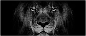 Tablou - Leu majestic (120x50 cm)