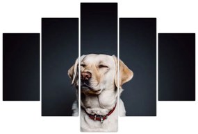 Tablou cu labrador (150x105 cm)
