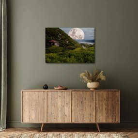 Tablou - peisaj cu luna (70x50 cm)
