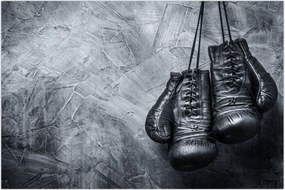 Tablou - Mănuși de box (90x60 cm)