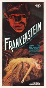 Reproducere Frankenstein, 1931, Anonymous