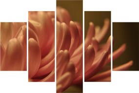 Tablou cu detailu florii (150x105 cm)
