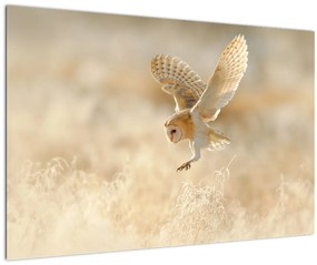 Tablou - Bufnița roșie (90x60 cm)