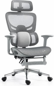 ErgoVanta Mesh — Scaun ergonomic, Suport lombar reglabil, Tetieră 2D, Cotiere reglabile, Mecanism cu blocare, Suport pentru picioare retractabil, Mesh, Gri