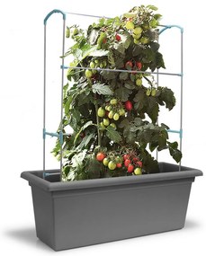 Gardenico Suport vertical Green Wall Magnus, 100cm, 100 cm