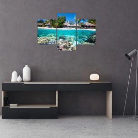 Tablou cu plaja pe insulă tropicală (90x60 cm)