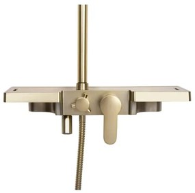 REA-P4121 - Set de duș BRAVO cu baterie, finisaj auriu periat