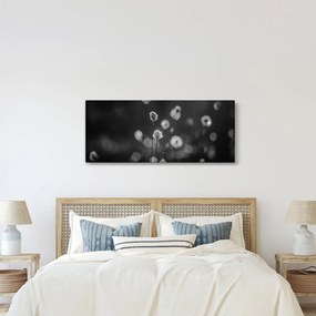 Tablou - Iarba de bumbac în pajiște (120x50 cm)